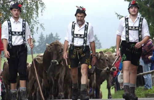 Chaletwohnung Seeblick - Sauna und Dogfriendly - Foto 20