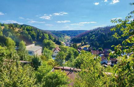 Werrapark Resort Ferienhäuser Am Sommerberg Premium - Foto 9