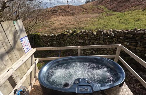 Ash Cabin with Hot Tub - Foto 27