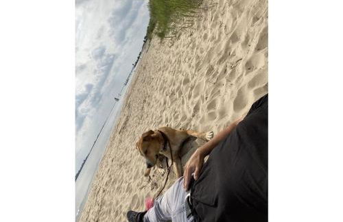 Holiday Apartment Elbe - Foto 55