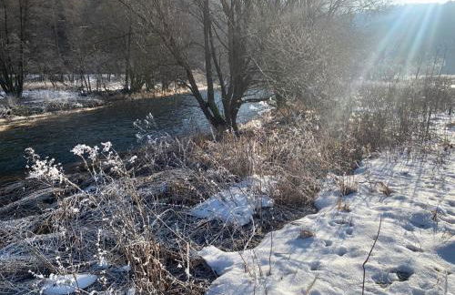 Ebenerdige Ferienwohnung im Luftkurort Dodenau - Foto 22