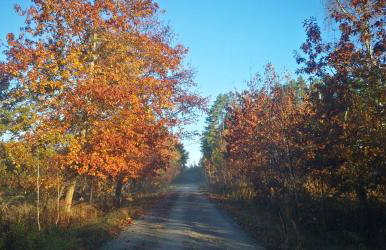 Na Chałupki - Foto 34