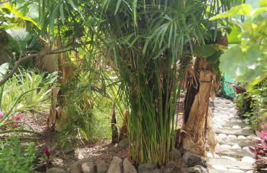 Happy Home - Foto 15