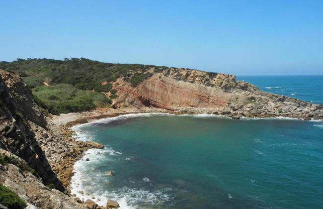 Apartment Sao Martinho Near Beach - Foto 35