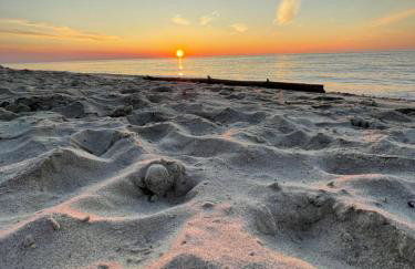 Apartament Baltic Garden Sztutowo - Foto 24