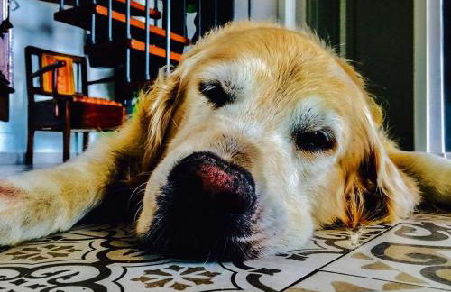 Country House Erba Regina - Foto 41