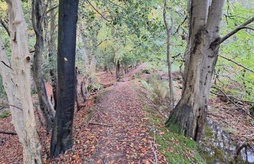 Ryan's Cottage - Photo 53