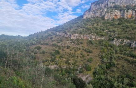 Casa do casal POIOS - Foto 23