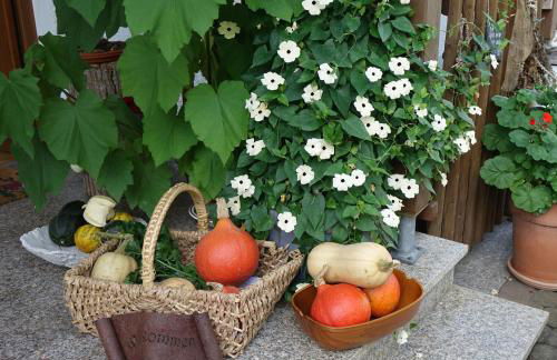 Ferienwohnung Karch - Foto 10