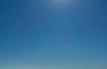 Alocasia luxury stay - Photo 16