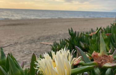 Villa Lesina Casa Vacanze - Foto 15