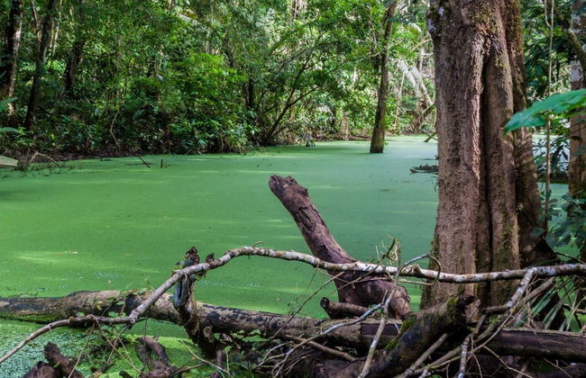 Parque Madidi y Pampas del Yacuma en 5 días - Foto 1