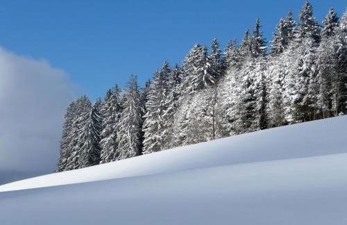 Ferienhaus im Park - Foto 33