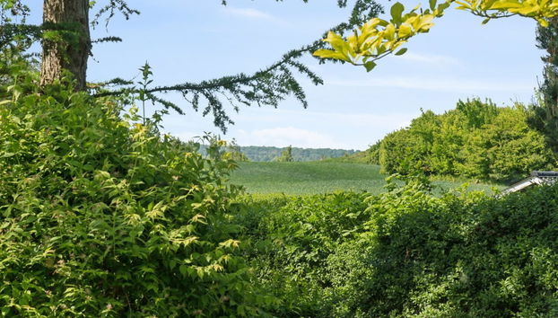 "Ømund" - 600m to the fjord - Foto 3, View
