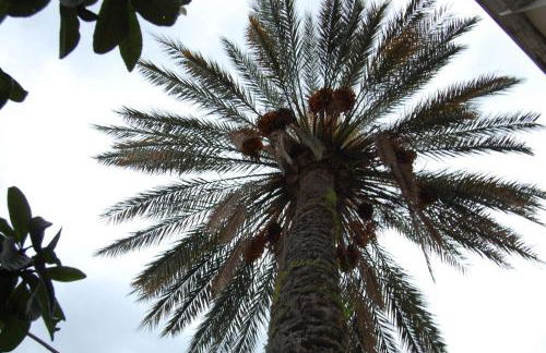 La casa di Anna - Foto 38