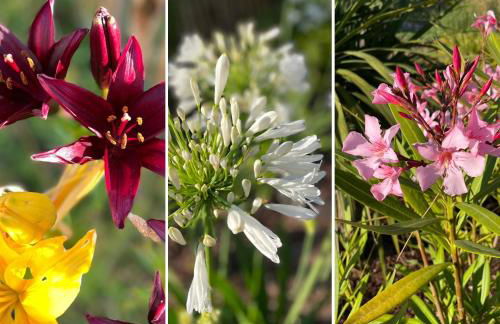 Ty Glazu Villa neuve grand confort, jardin 1600m2, GR34, criques, restos et port Doelan à pied - Foto 22