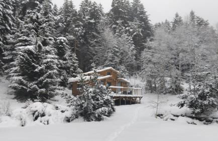 Chalet de l'Abondance - Foto 12