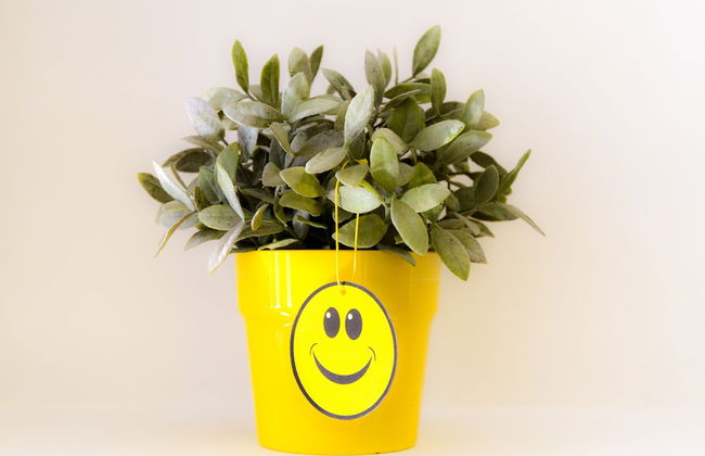 Rainbow Apartments - Foto 68