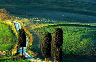 Casa Marelli - Foto 16