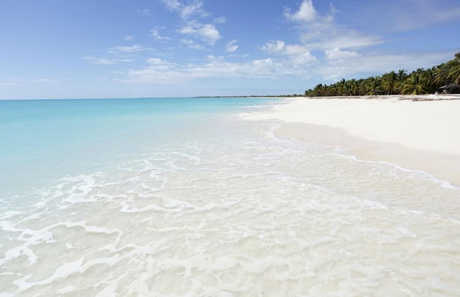 Charming 1-bed Cottage in Codrington - Foto 11