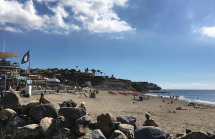 Meloneras ideal - Foto 35