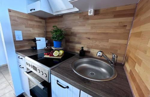 Apartment mit Grünblick & Wintergarten im Schwarzwald - Foto 16