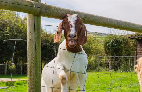 3 Bed in Whitwell oc-h33498 - Foto 32