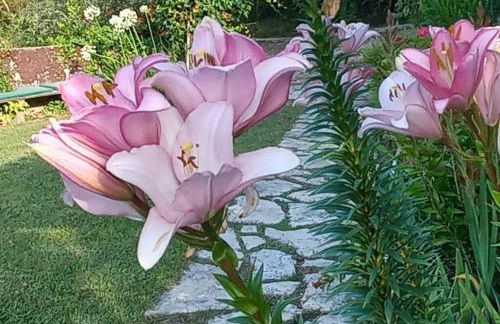 Moradia na Serra - Foto 7