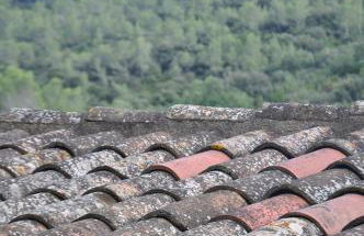 Mas Corbella - Foto 51