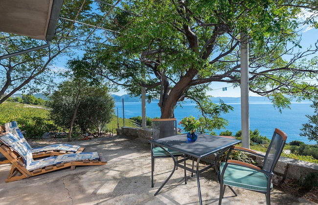 Country Home Dingač - Photo 20