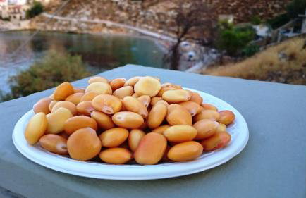 Fofi Apartments - Photo 39