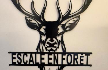 Le Cerf - Rambouillet city center - Foto 21