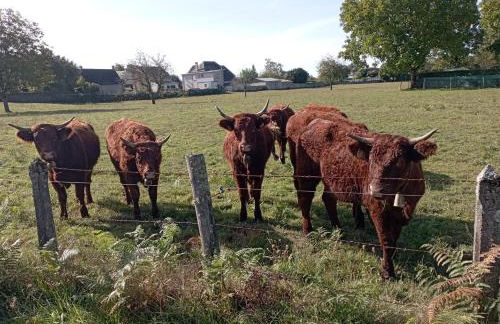 Le Gite d'Auvergne - Photo 22