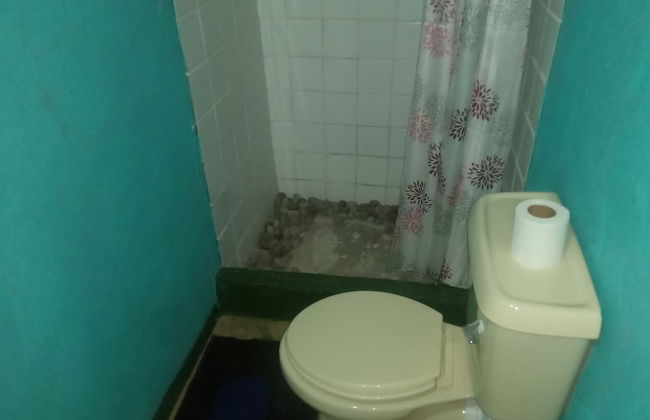 Berkey's Jungle Paradise - Photo 40