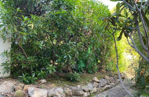 Bonita casa independiente cerca de la playa - Foto 28