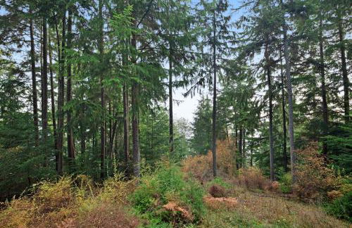 Racoon Retreat - Foto 19