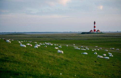 Schäferhof Dircks Fewo 2 - Foto 2