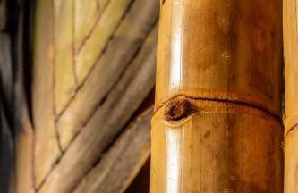 Øko Villa - Foto 14