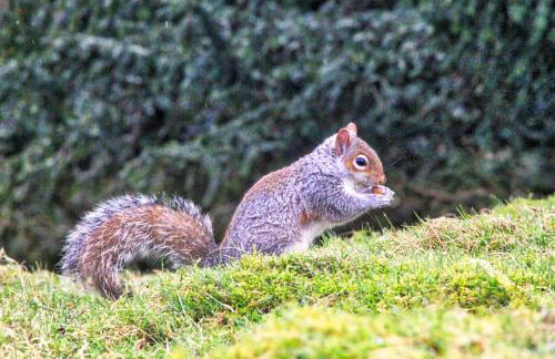 Mellwaters Barn Cottages - Photo 55