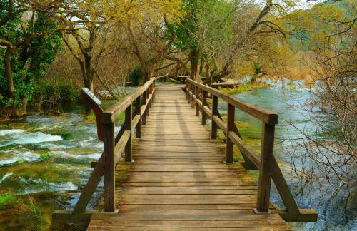 Apartments Vendi - Photo 9