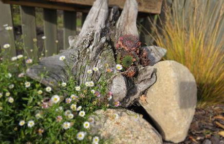 Ferien im Gartenrausch - Gönn Dir eine Auszeit im Herzen von Wörlitz - Foto 9