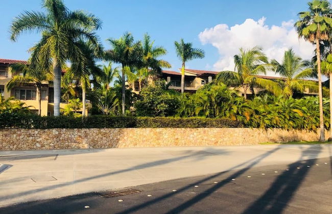 El Tigre Isla Palmares - Foto 43