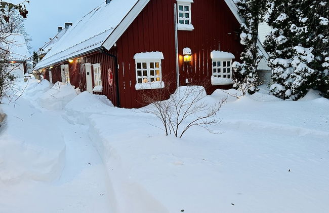 Toldgaarden Gjestegaard - Foto 56