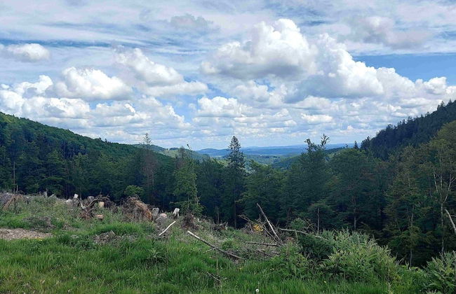 Terrace Retreat in Winterberg - Foto 20