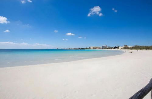 Villa Tramontana 30 Metri Dal Mare - Foto 30