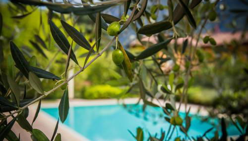 Maison Casa Lavanda - Foto 2, Garden view