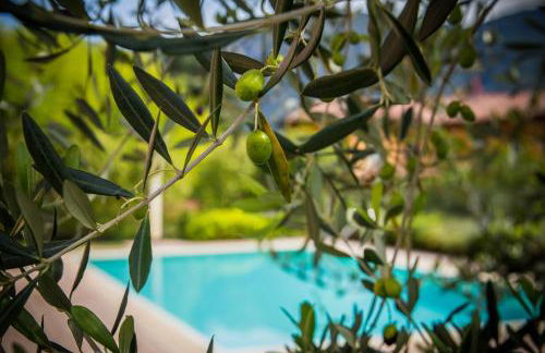 Maison Casa Lavanda - Foto 2