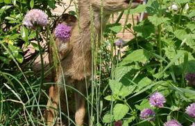 Ferienhof Kruse Wohnung Nr 5 - Foto 21