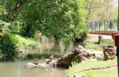 Gîte Carcasso - Photo 59