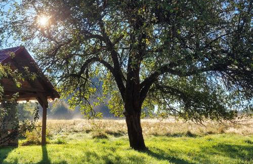 Na końcu dróżki - Foto 31